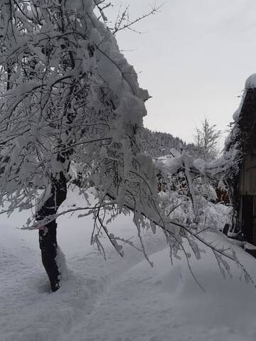 Фото Гостевой дом GUESTHOUSE ARQI г. Khulo 3